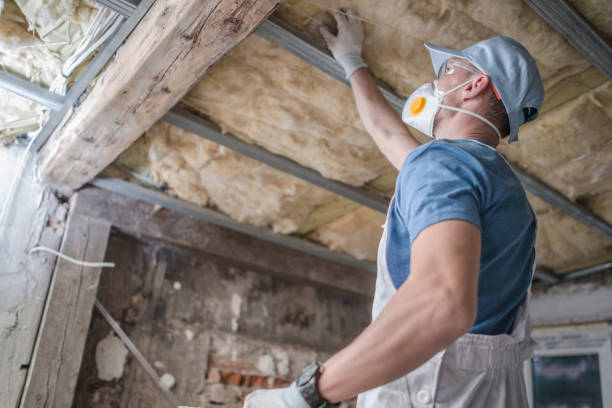 Best Energy Efficiency Insulation in Pikesville, MD