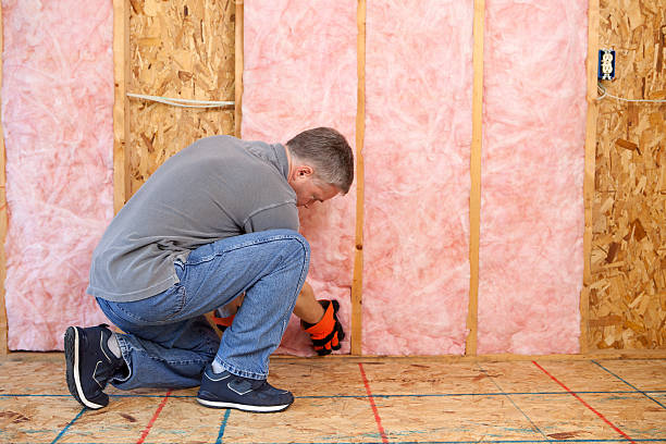 Best Blown-in Insulation in Pikesville, MD